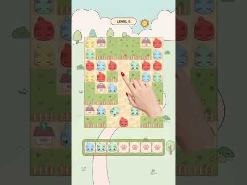 Colorful Cat Jam