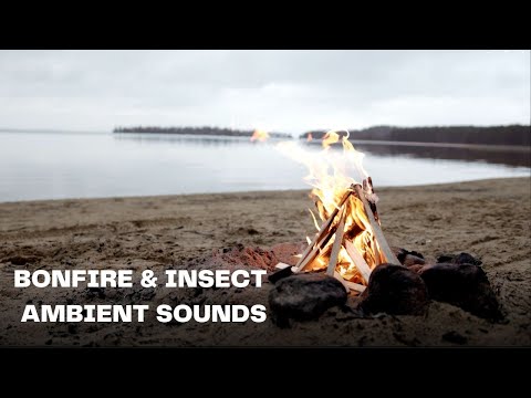 Campfire On The Beach🔥The Ultimate Relaxation Experience - Bonfire & Insect Ambientes.