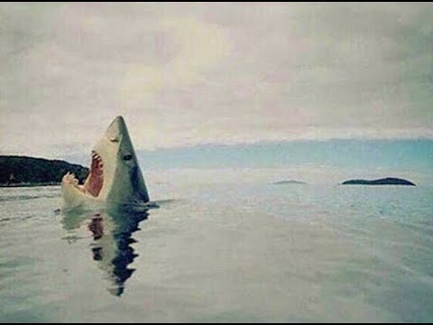 DJ MMM x RiFF RAFF x OMG RONNY J x STS9 - HOP OUT THE LAMB REMiX