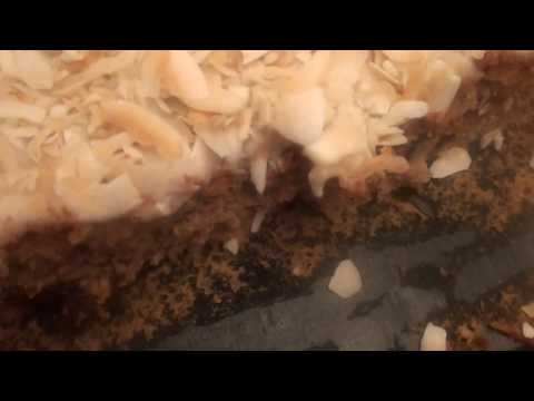 download lagu mp3 mp4 Flax For Life Gluten Free Muffins, download lagu Flax For Life Gluten Free Muffins gratis, unduh video klip Flax For Life Gluten Free Muffins