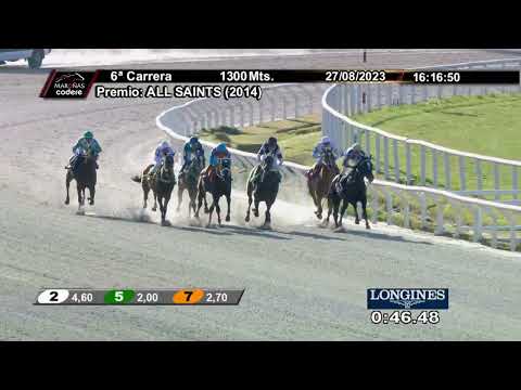 230827 c06 OPPORTUNITE (BRZ)