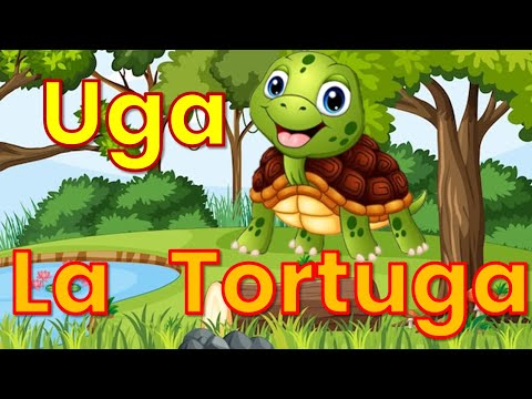 Uga, la tortuga | Cuentos Infantiles