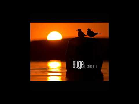 Lauge - Pusterum (Longplay Mix)