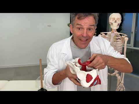 Endometriosis y el suelo pélvico Un camino hacia el alivio del dolor crónico