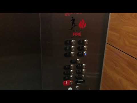 MODDED - Marshall/Otis Gen2 Blue elevators - UPMC Magee-Womens Hospital - S. Oakland, Pittsburgh, PA