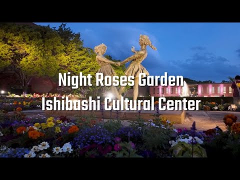 【4K】 Night Walk at Roses Garden, Ishibashi Cultural Center 2025