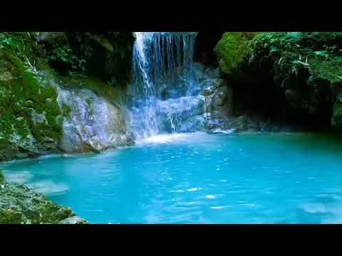 10 Hours - Morning Bird Songs and River Sounds for the Best Start of the Day - Morning River