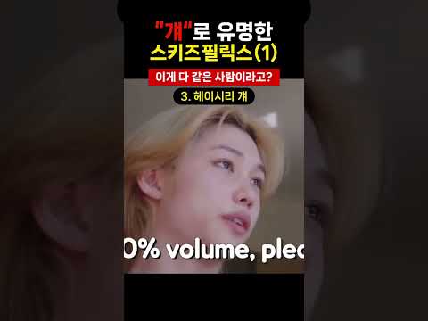 [스트레이키즈 필릭스] 걔