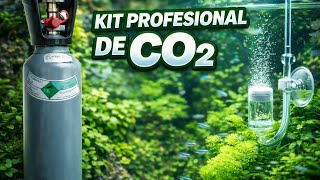 🌿Como montar un equipo de CO2 para tu acuario plantado 🌿