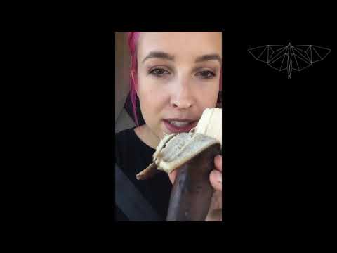 Lux Like No. 12 - VON KOMETEN UND BANANEN