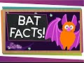 3 Fun Facts About Bats!  | SciShow Kids