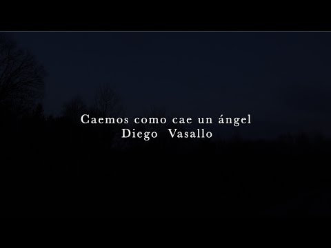 Diego Vasallo - Caemos como cae un ángel (vídeo)