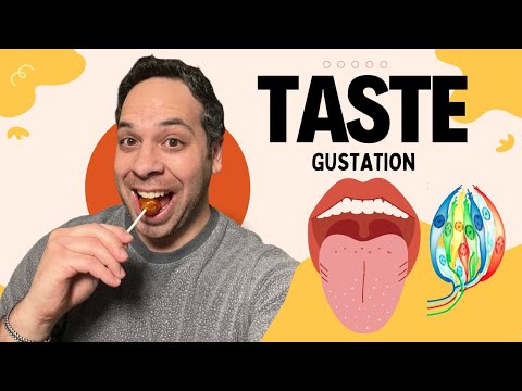 How Do We Taste? I Gustation