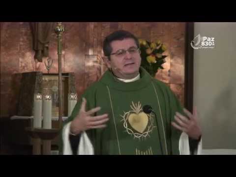 Homilía Noviembre 17 de 2013, Padre Ferando Orejuela