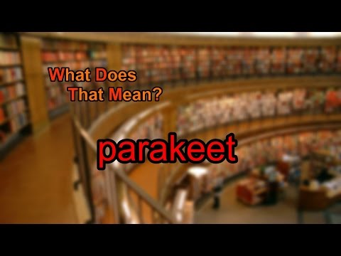 What does parakeet mean?