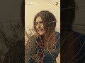 Jhok Sarkar Last Episode Best Scene Shorts Viral HUMTV