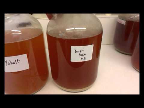 Welcome to 2016!! HBW pt67