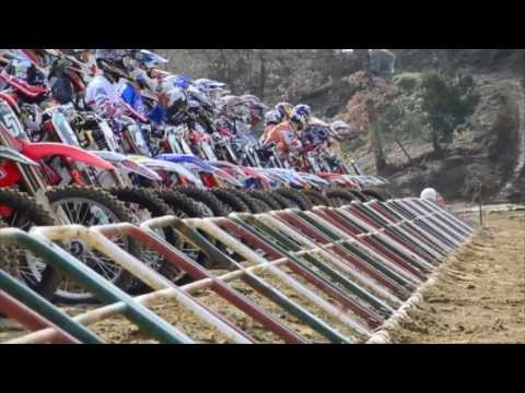 Alessandro Lupino International Italian Motocross Champion 2012