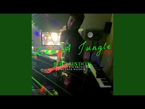 Like A Jungle (Out Numbered)