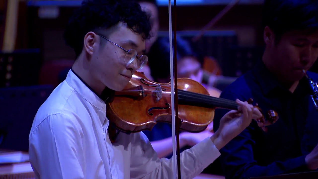 Concerto for Violin and Oboe - J.S.Bach (2021)