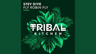 Stev Dive - Fly Robin Fly video