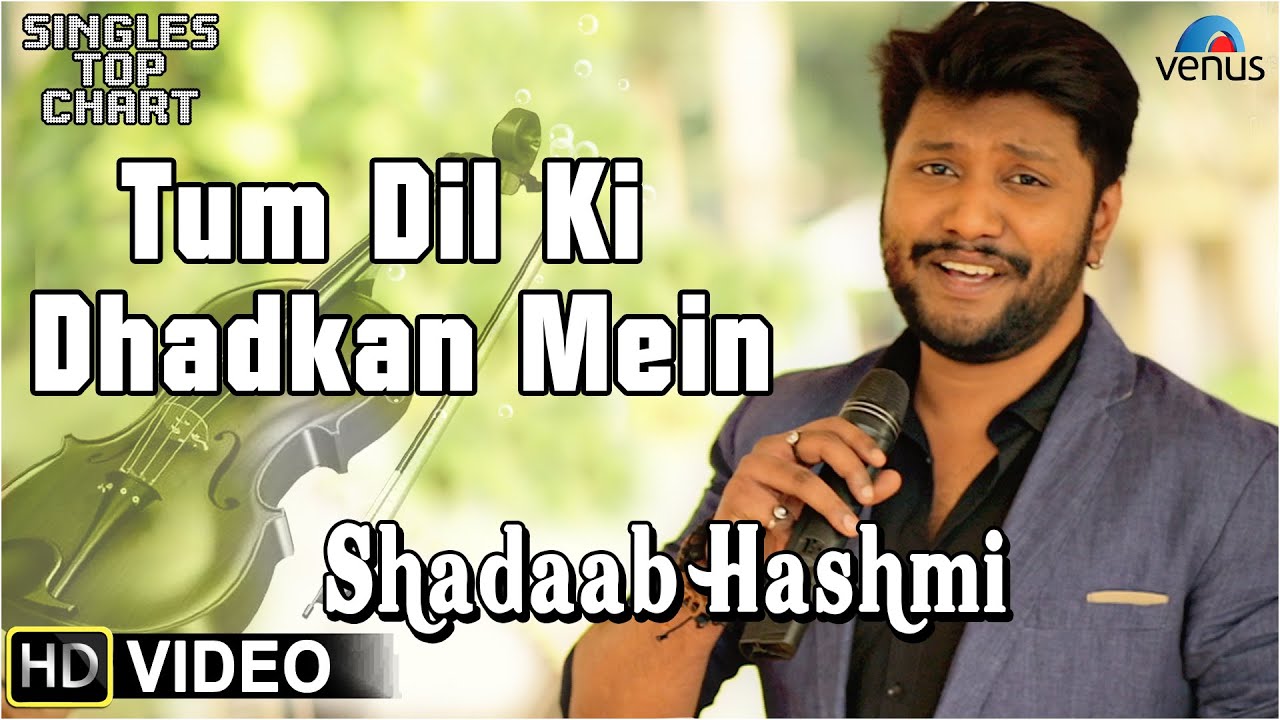 Tum Dil Ki Dhadkan Mein Lyrics | Tum Dil Ki Dhadkan Mein | Shadaab Hashmi | Tabun Sutradhar, Nadeem Shravan