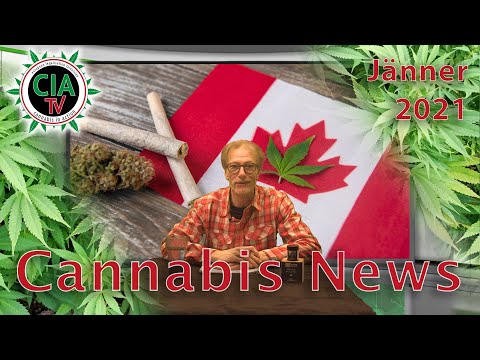 CannaNews Jänner 2021 - Schweiz, Italien, Deutschland, Kanada, USA, UFC