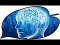 Insomnia Stres Ini Adalah Musik Yang Menenangkan Untuk Membuai Anda Ke Tidur Terdalam