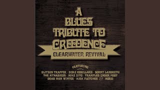 Looking out My Back Door