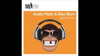 Audio hedz & Alex burn - just another