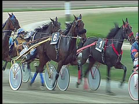 Trotto 14/10/2016 - 3ª corsa