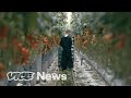 Visiting The Farm Of The Future