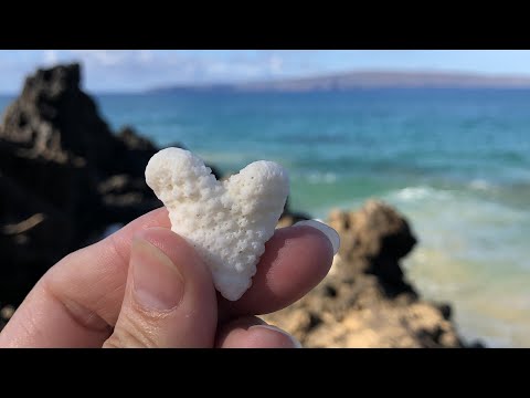 Beach Hearts