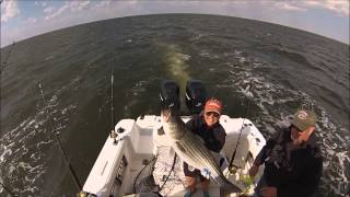 preview picture of video 'Spring Trophy Rockfish Season Chesapeake Beach MD 2014'