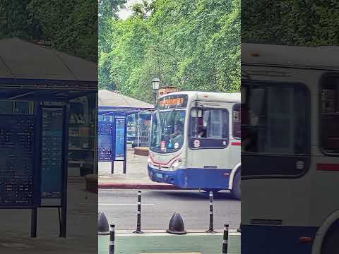 Plaza de Los Treinta y tres. Barrio Cordón, Montevideo, Uruguay
