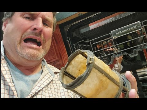 DIY: Mold! How to Deep Clean a Dishwasher | The Easy Way from Start to Finish