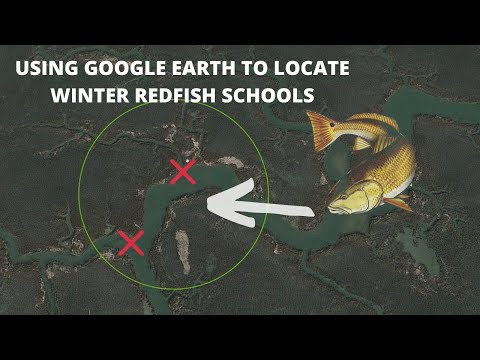 How to locate winter redfish schools using Google Earth (fishing for redfish)
