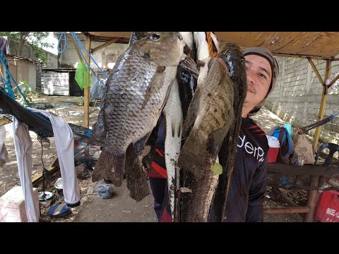 SE02EP100 Part 2 - ETO NA ang PINAKAMADAMI at NAG LALAKIHANG HULI | BRGY. Sampaloc, Talisay BATANGAS