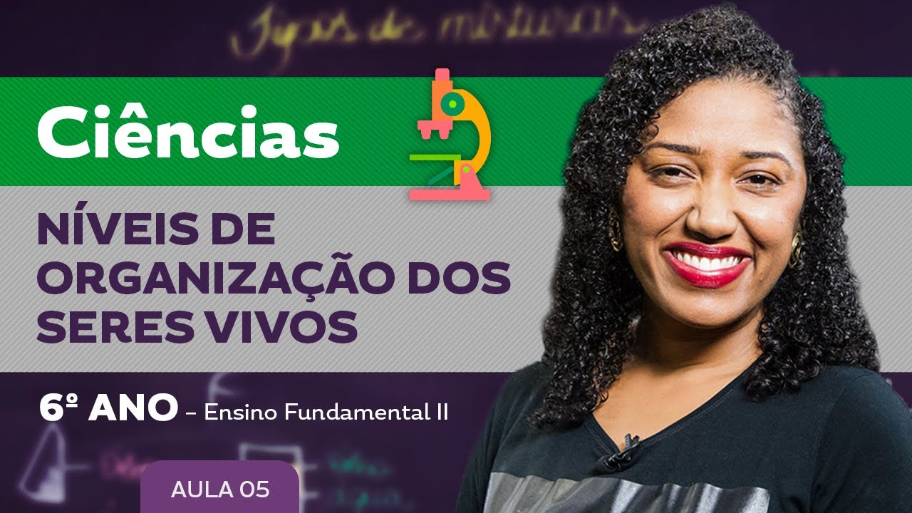 Níveis de organização dos seres vivos – Ciências – 6º ano – Ensino Fundamental