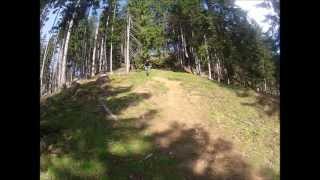 Trailen in den bayrischen Voralpen - Freeride am Blomberg (I)