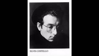 The Other Side Of Summer ~ Elvis Costello