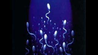 LDA Los De Adentro - Velocidad