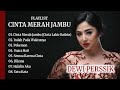 Playlist Cinta Merah Jambu 8 Lagu Pilihan Dewi Perssik