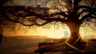 Beseech - Sunset 28 - subtitulos - Lyrics