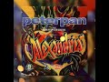 Peterpan Membebaniku Official Audio