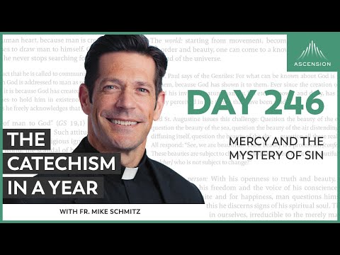 Day 246: Mercy and the Mystery of Sin — The Catechism in a Year (with Fr. Mike Schmitz)