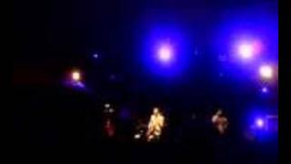 live your dream - reel big fish