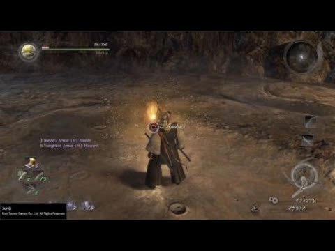 Nioh - Deep in the Shadows Speedrun