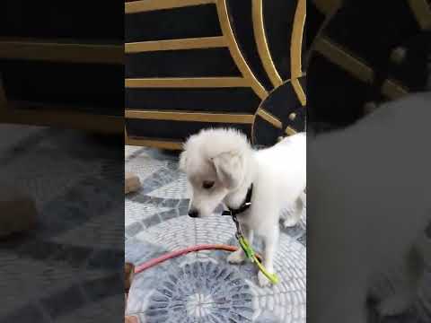 ನವೆಂಬರ್ 16, 2022