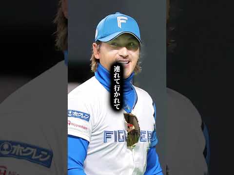 【名言】「お前は間違っとらん」――信念を貫いた先にある、本当の強さ #新庄剛志 #日本ハムファイターズ #心に響く言葉 #名言集